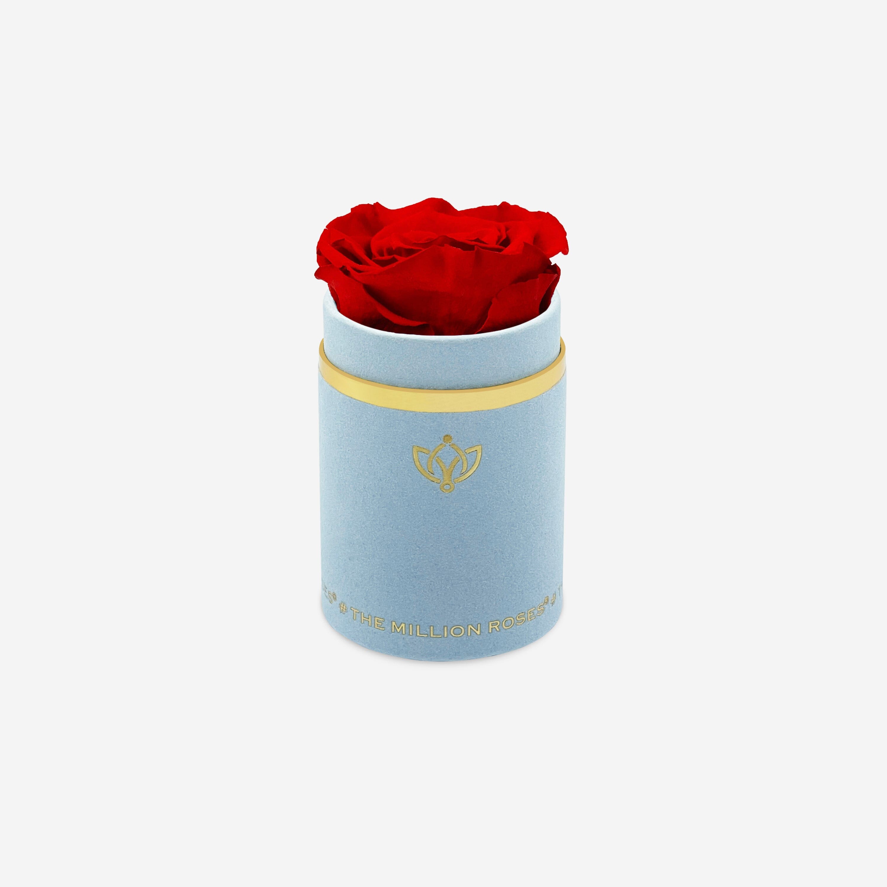 Single Light Blue Suede Box | Red Rose - The Million Roses