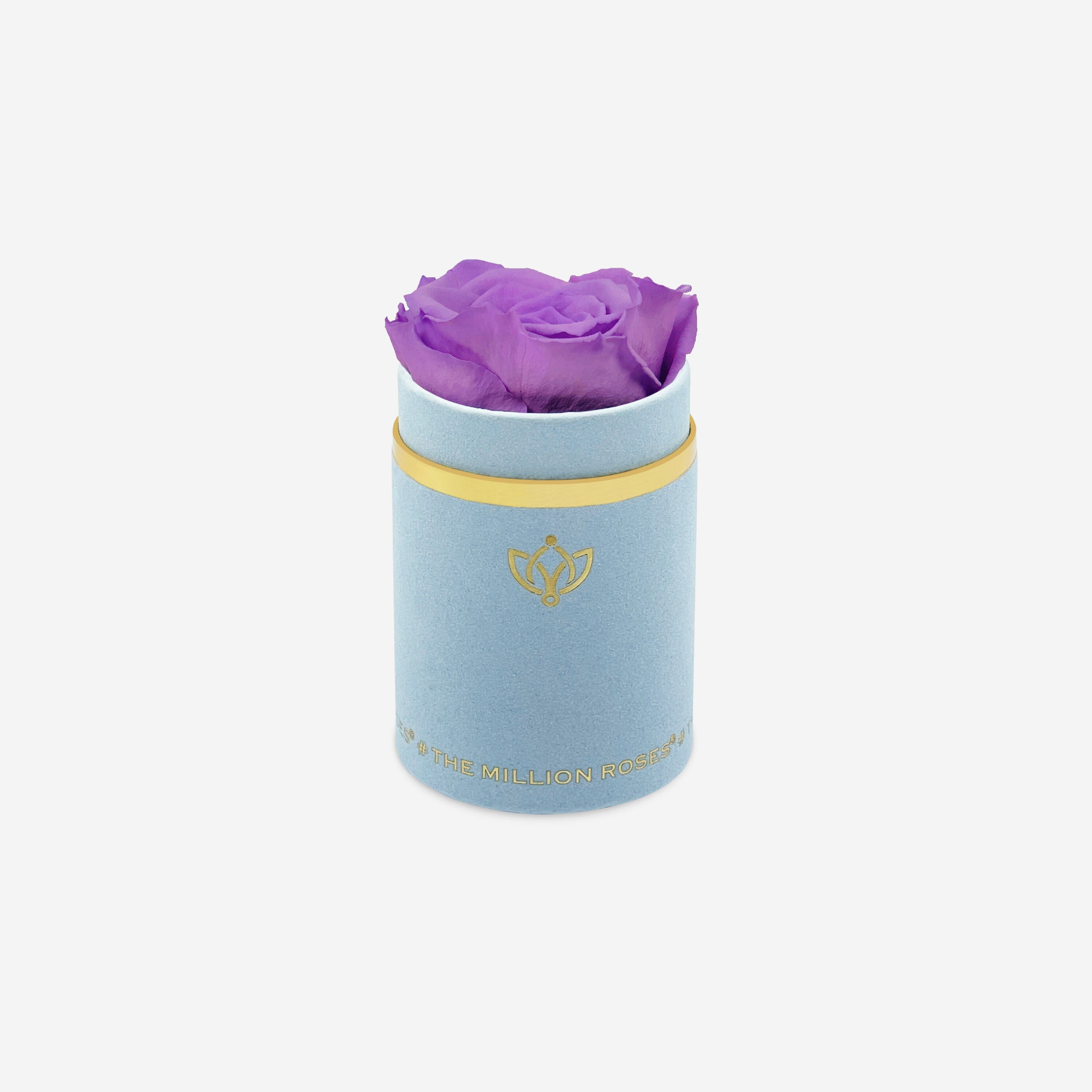 Single Light Blue Suede Box | Lavender Rose - The Million Roses