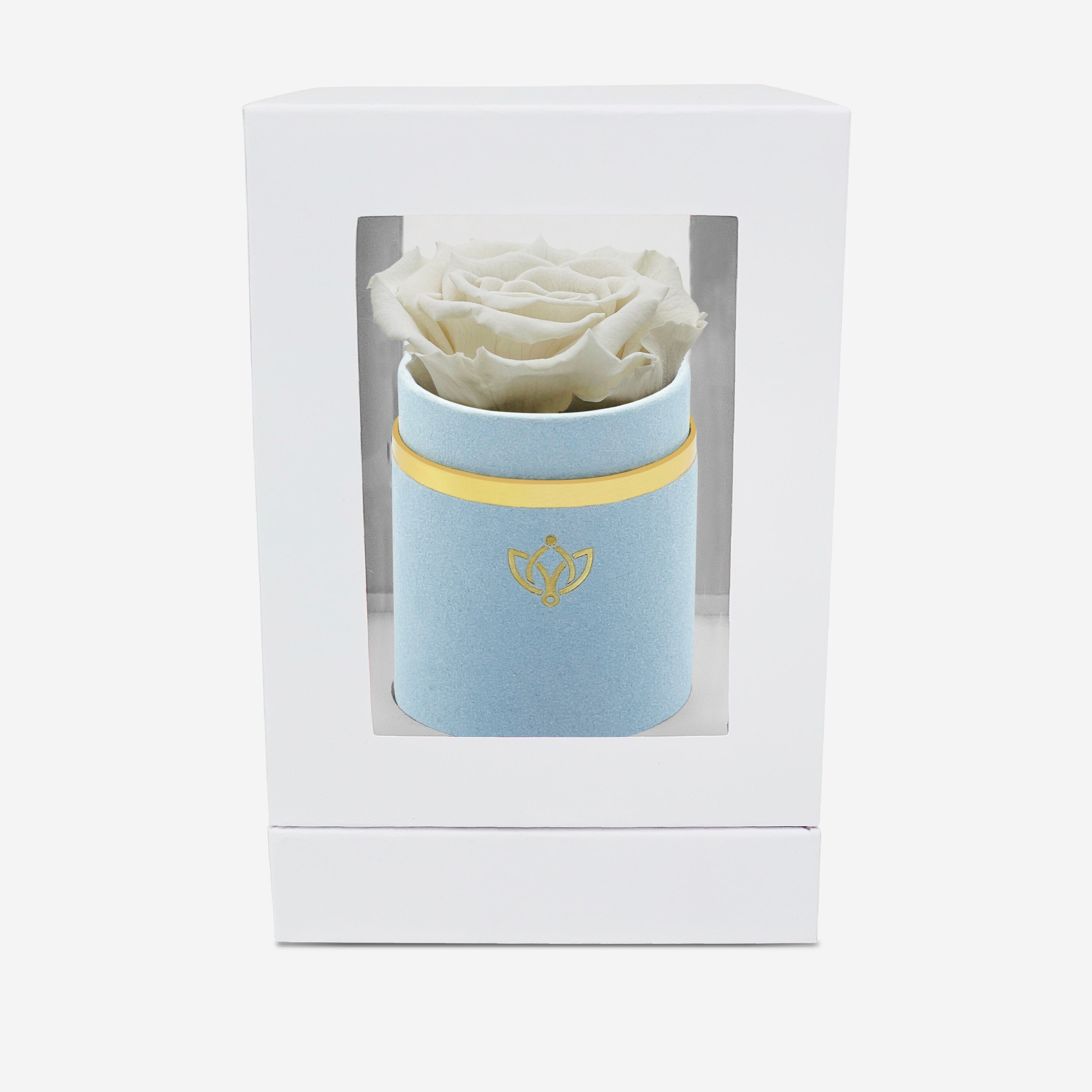 Single Light Blue Suede Box | Off White Rose - The Million Roses