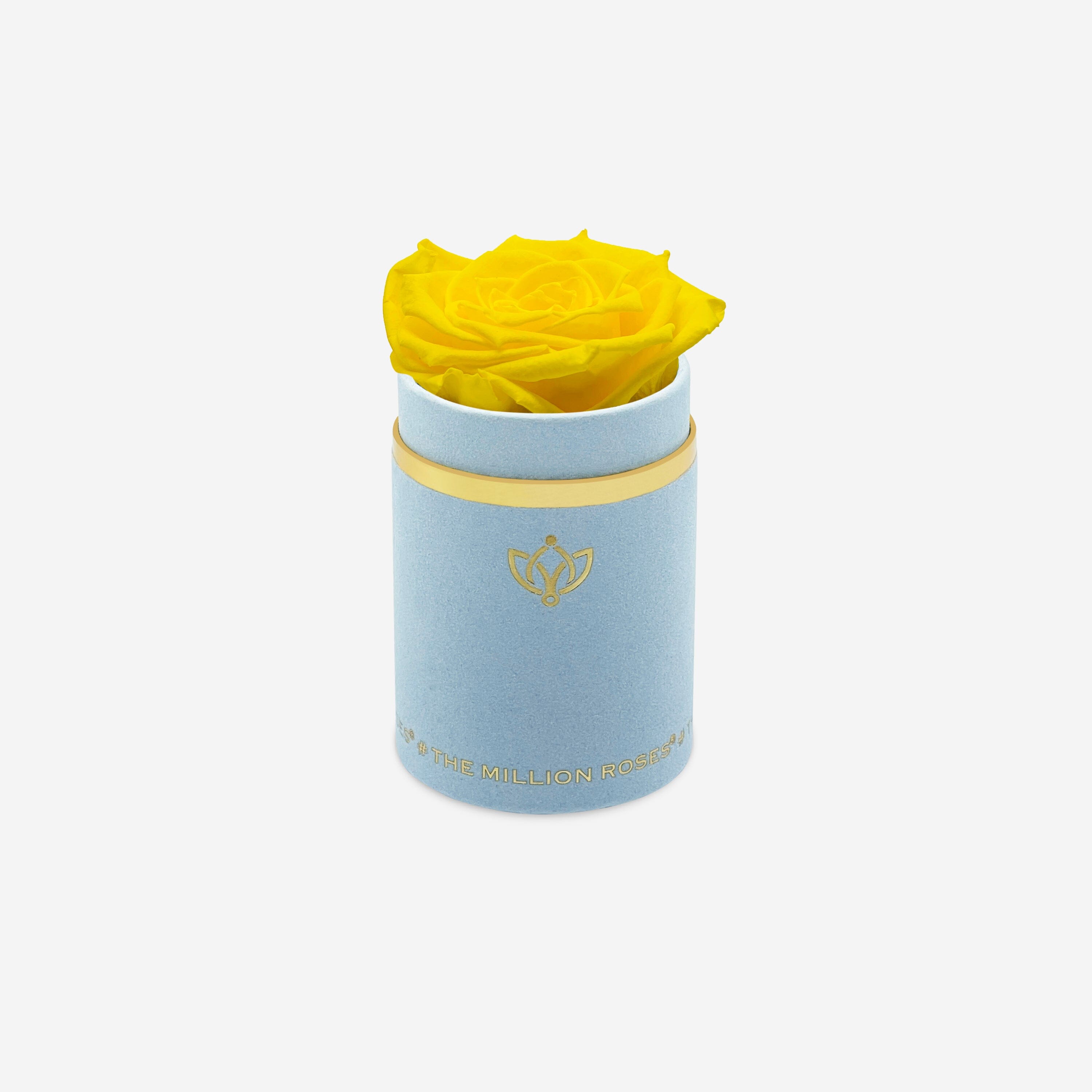 Single Light Blue Suede Box | Yellow Rose - The Million Roses