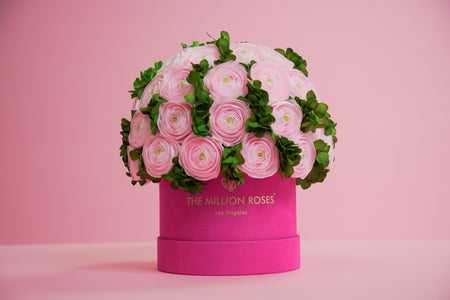 Classic Dark Green Suede Box | Light Pink Persian Buttercups & Green Hydrangeas - The Million Roses