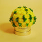 Classic Mirror Gold Box | Yellow Persian Buttercups & Green Hydrangeas - The Million Roses