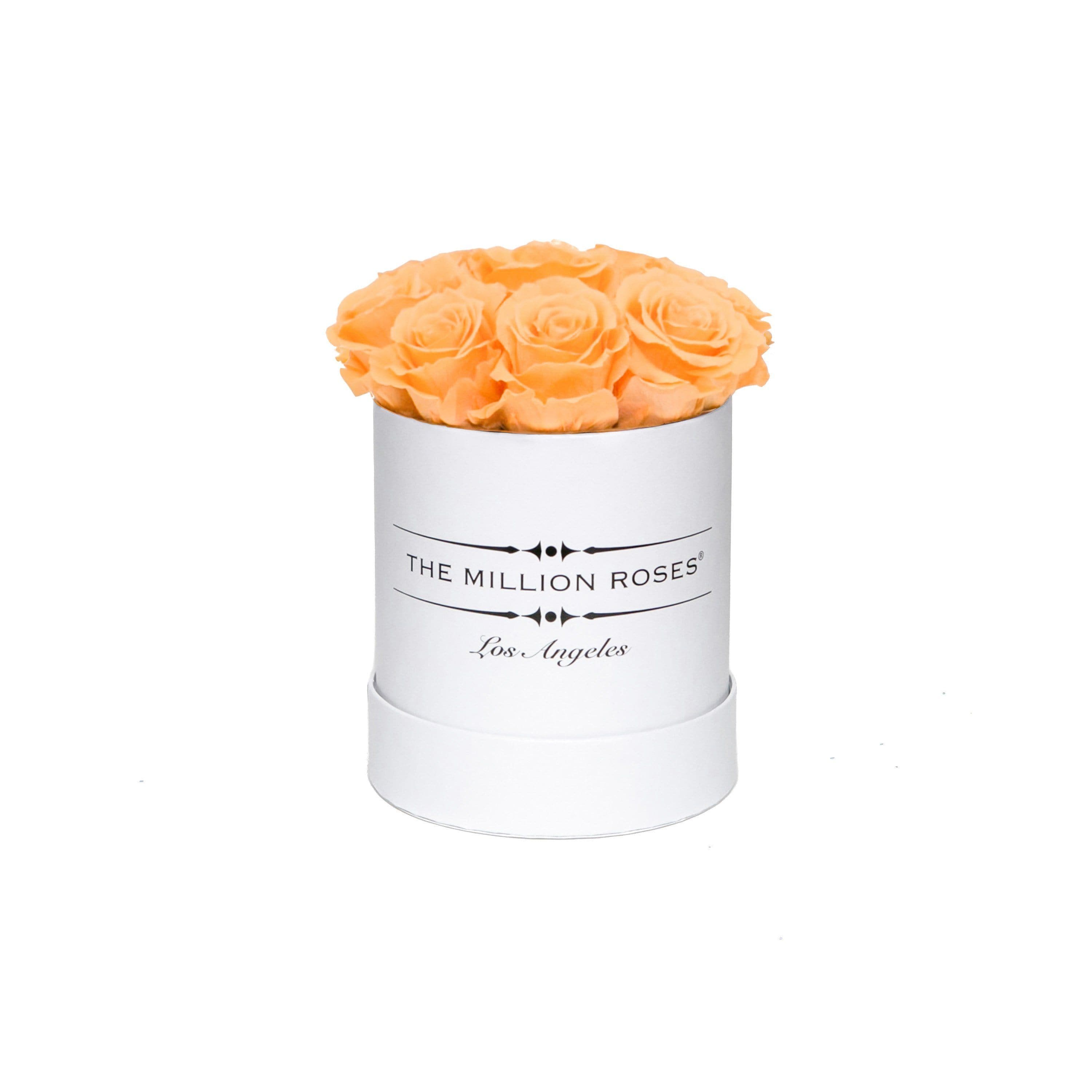 Basic White Box | Peach Roses - The Million Roses