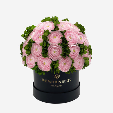 Classic Black Box | Light Pink Persian Buttercups & Green Hydrangeas - The Million Roses