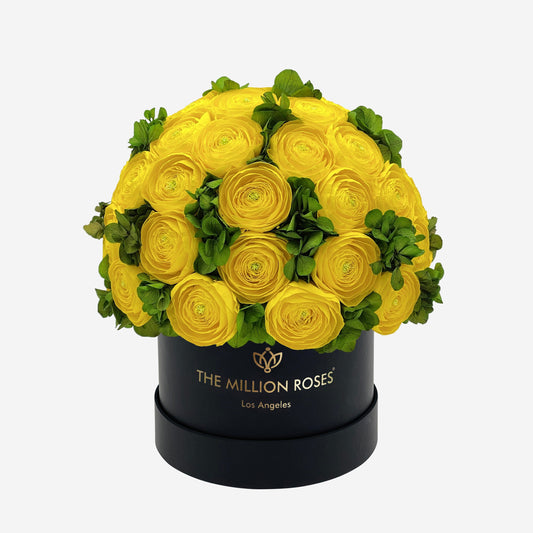 Classic Black Box | Yellow Persian Buttercups & Green Hydrangeas - The Million Roses