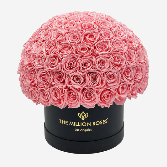 Supreme Black Superdome Box | Light Pink Roses - The Million Roses