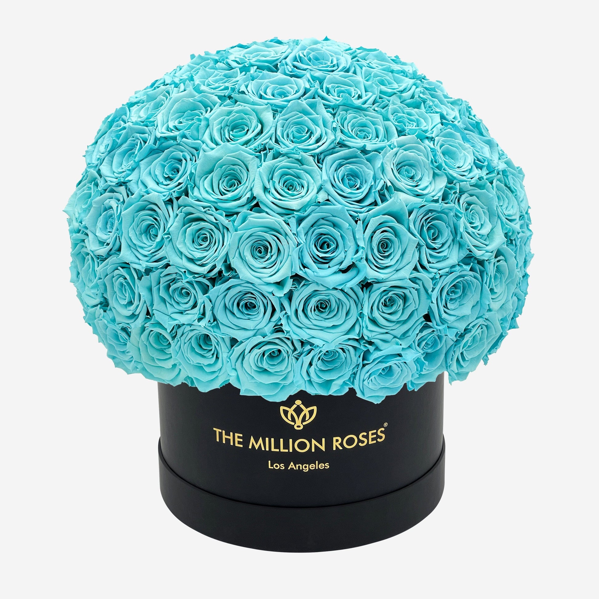 Supreme Black Superdome Box | Turquoise Blue Roses - The Million Roses