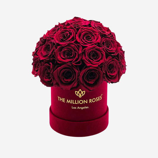 Basic Bordeaux Suede Superdome Box | Burgundy Roses - The Million Roses