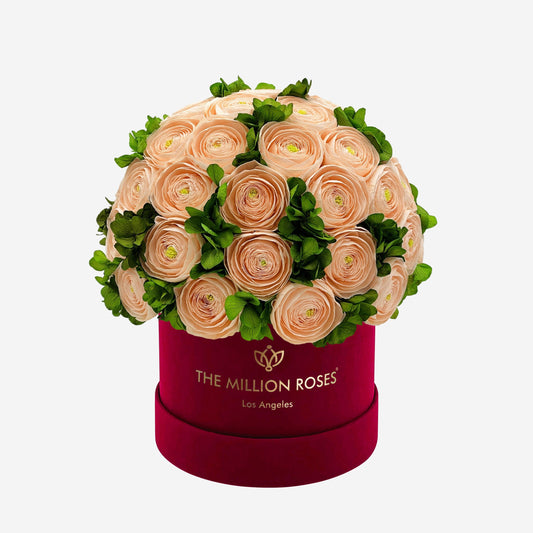 Classic Bordeaux Suede Box | Peach Persian Buttercups & Green Hydrangeas - The Million Roses