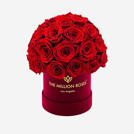Basic Bordeaux Suede Superdome Box | Red Roses - The Million Roses