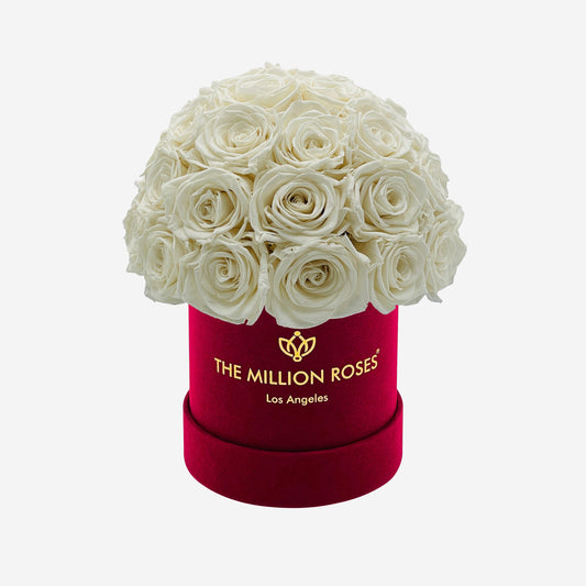 Basic Bordeaux Suede Superdome Box | White Roses - The Million Roses