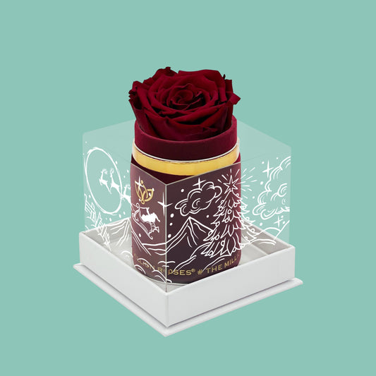 Single Bordeaux Suede Box | Limited Holiday Edition | Red Rose - The Million Roses