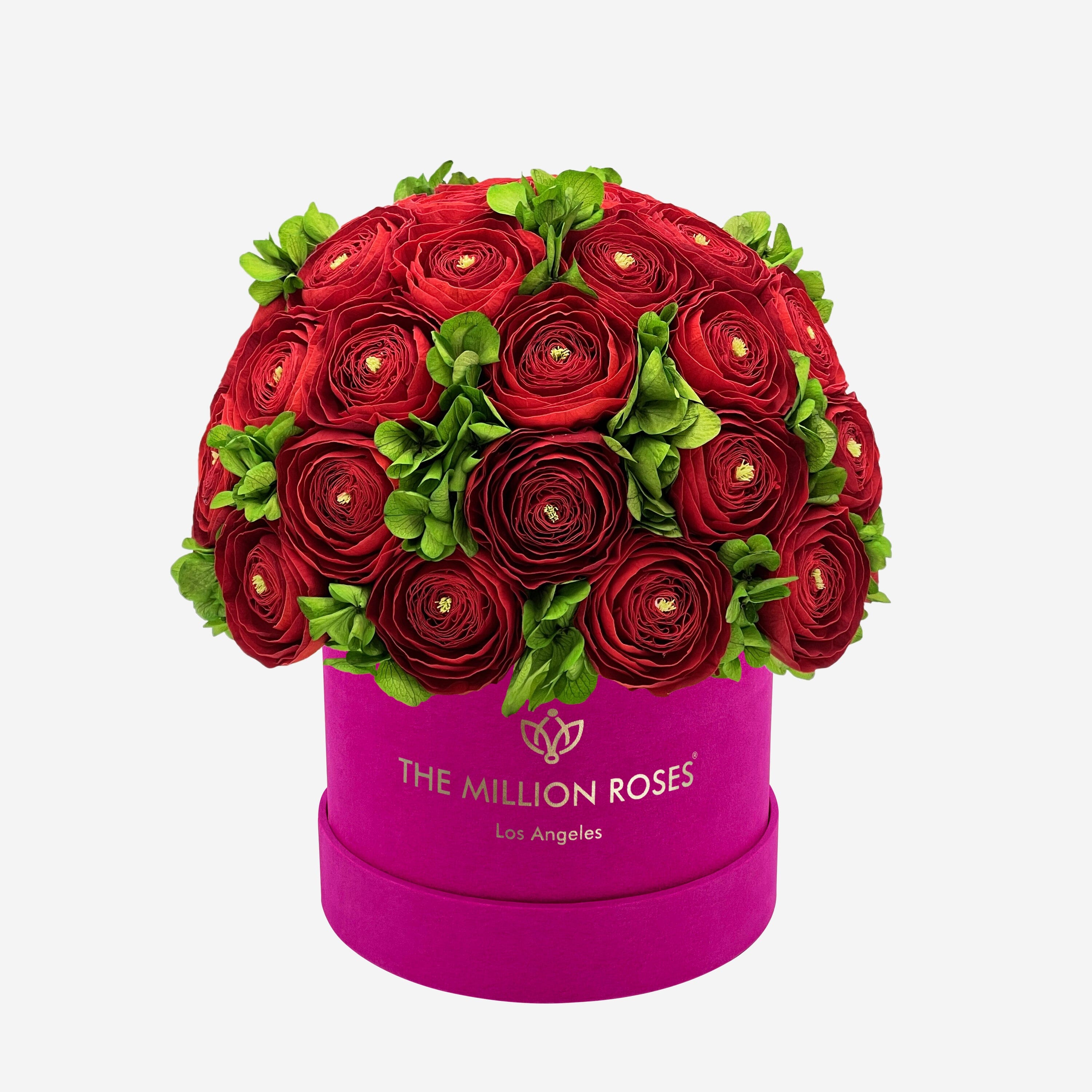 Classic Hot Pink Suede Box | Red Persian Buttercups & Green Hydrangeas - The Million Roses