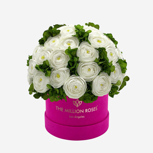 Classic Hot Pink Suede Box | White Persian Buttercups & Green Hydrangeas - The Million Roses