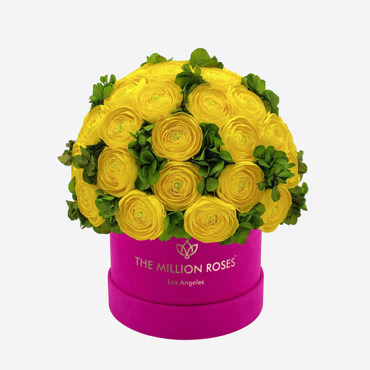 Classic Hot Pink Suede Box | Yellow Persian Buttercups & Green Hydrangeas - The Million Roses