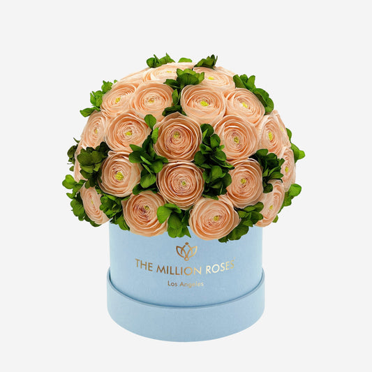 Classic Light Blue Suede Box | Peach Persian Buttercups & Green Hydrangeas - The Million Roses
