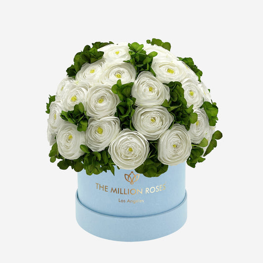 Classic Light Blue Suede Box | White Persian Buttercups & Green Hydrangeas - The Million Roses