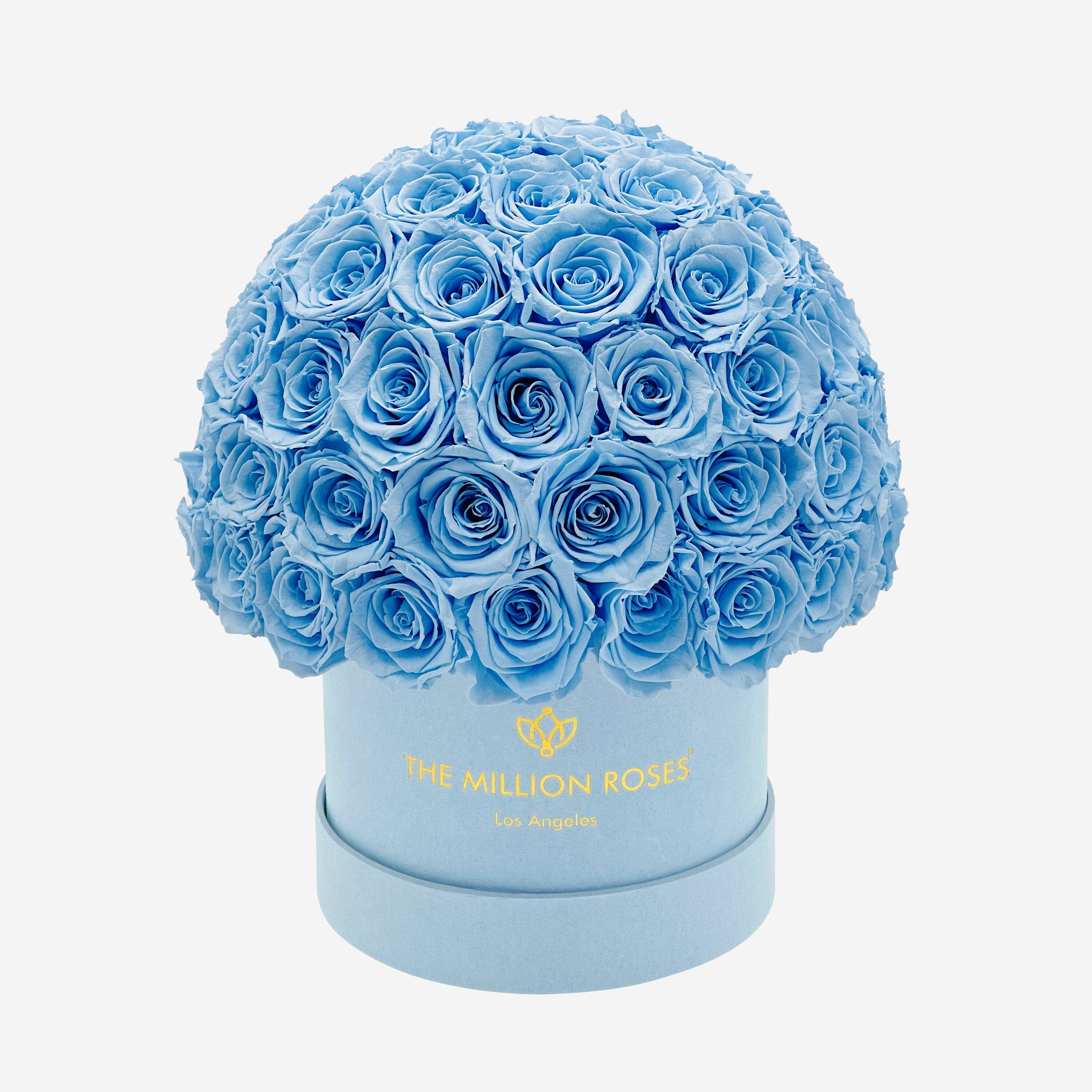 Classic Light Blue Suede Superdome Box | Light Blue Roses - The Million Roses