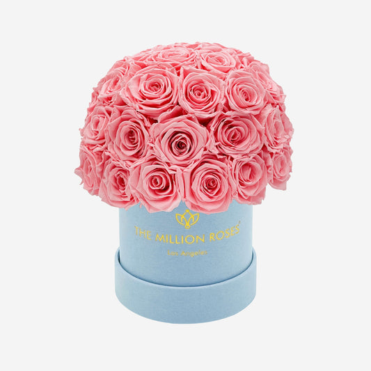 Basic Light Blue Suede Superdome Box | Light Pink Roses - The Million Roses