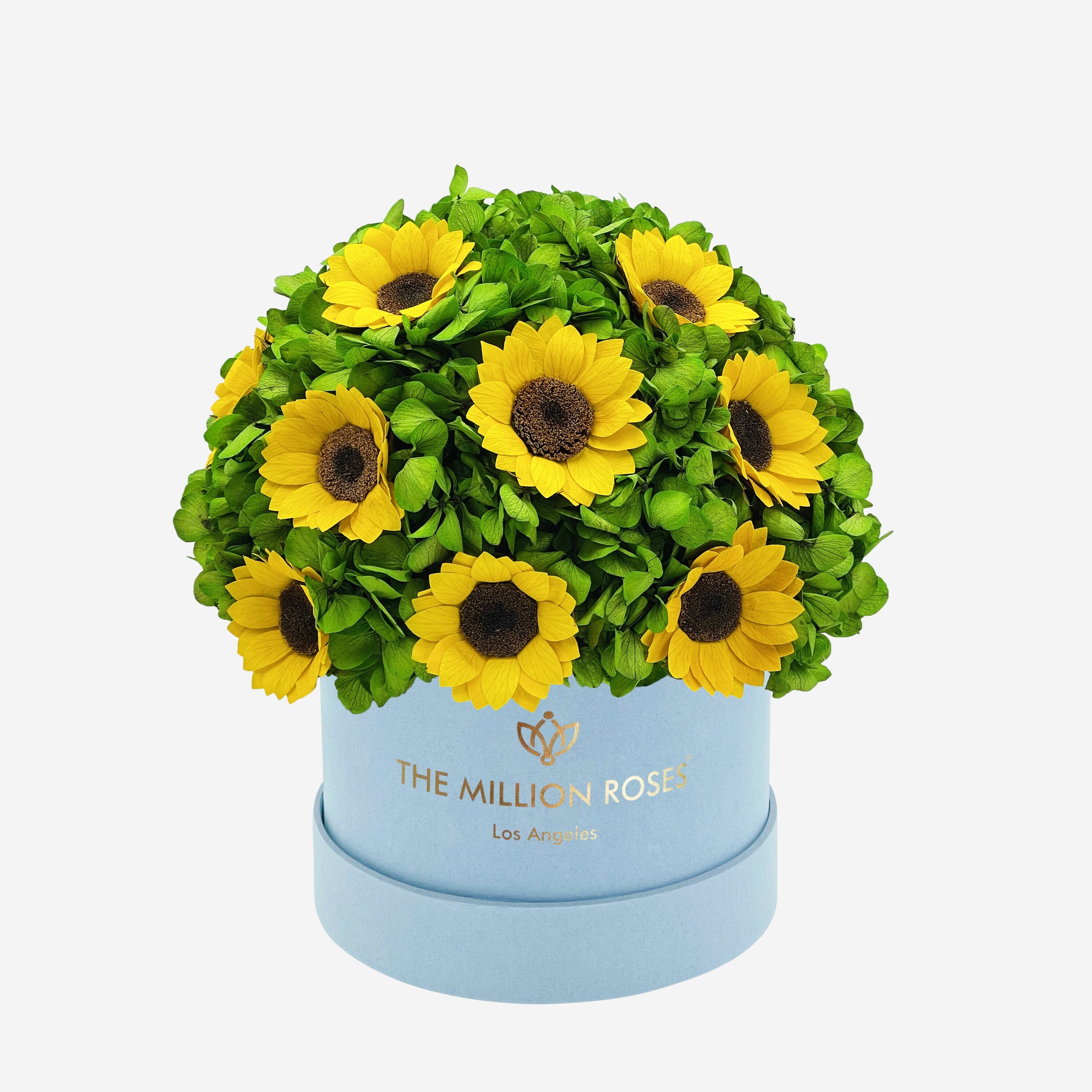 Classic Light Blue Suede Box | Green Hydrangeas & Sunflowers - The Million Roses