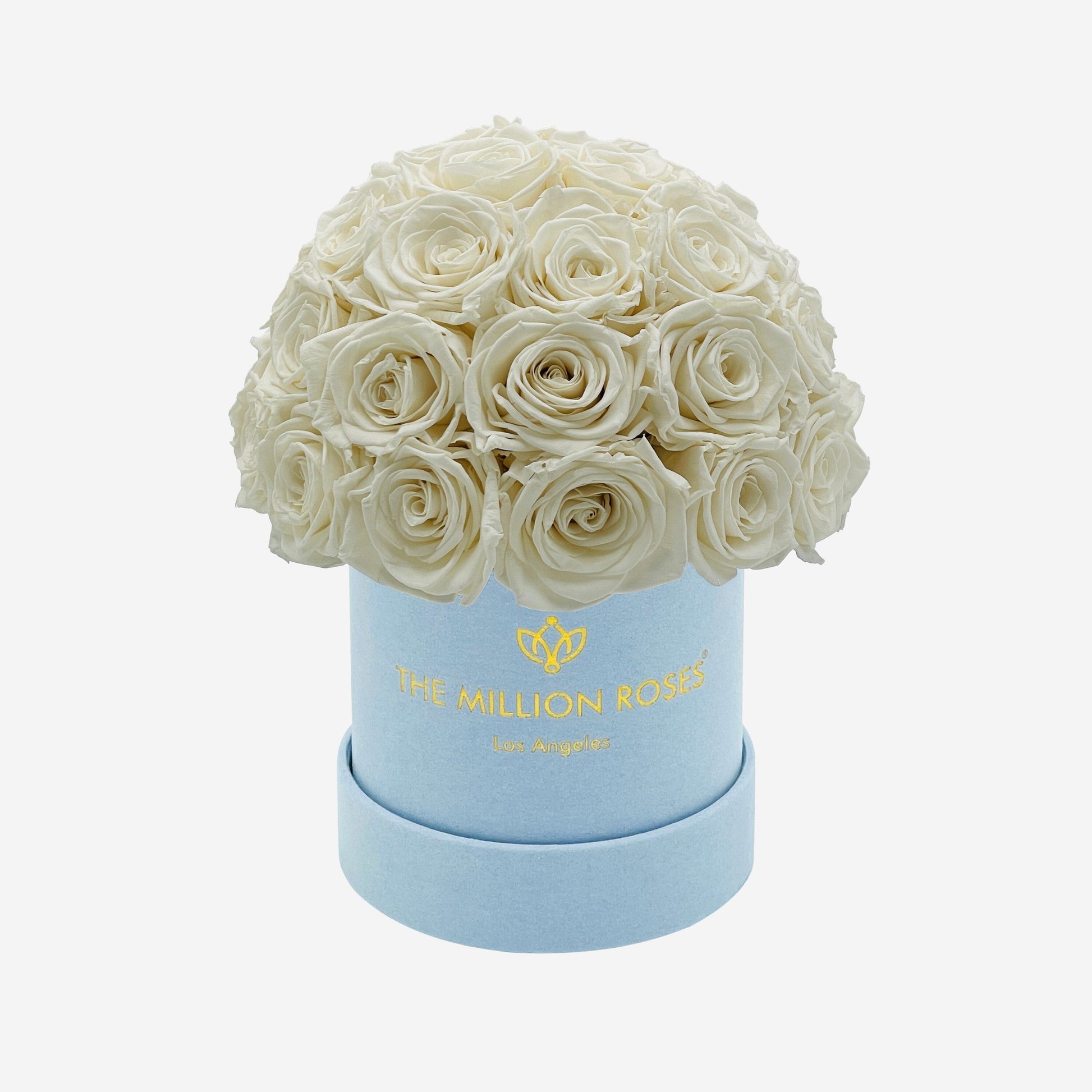 Basic Light Blue Suede Superdome Box | White Roses - The Million Roses