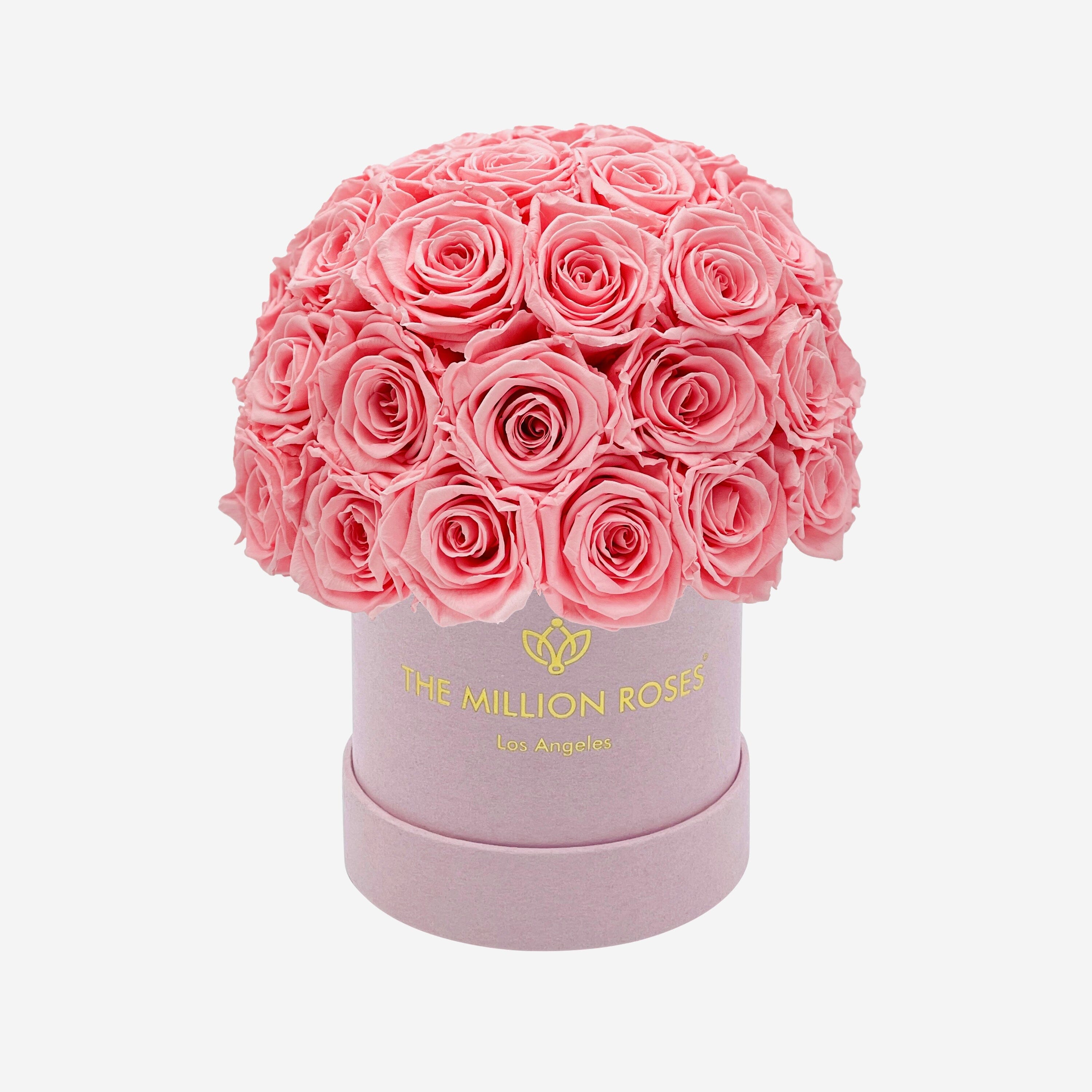 Basic Light Pink Suede Superdome Box | Light Pink Roses - The Million Roses