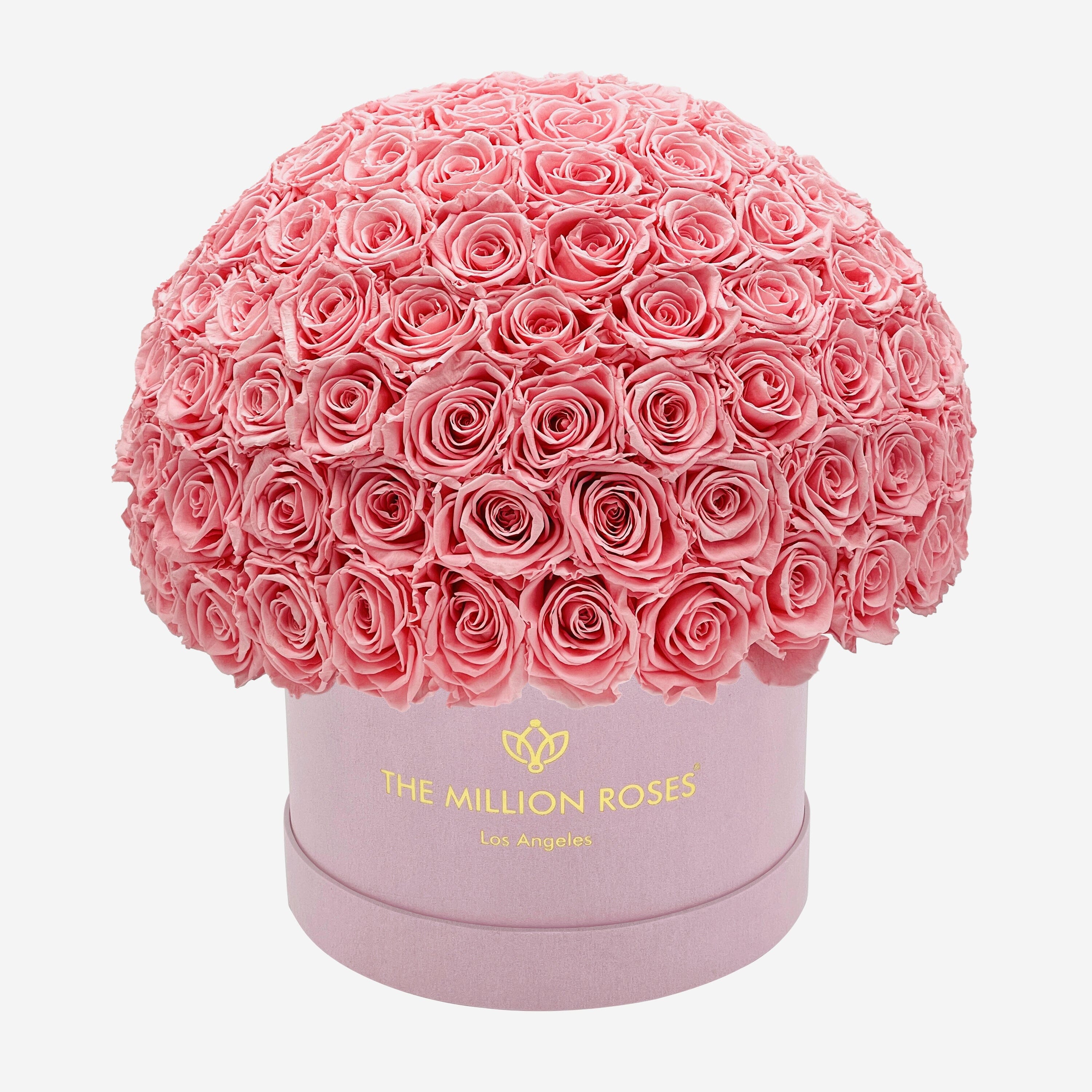 Supreme Light Pink Suede Superdome Box | Light Pink Roses - The Million Roses