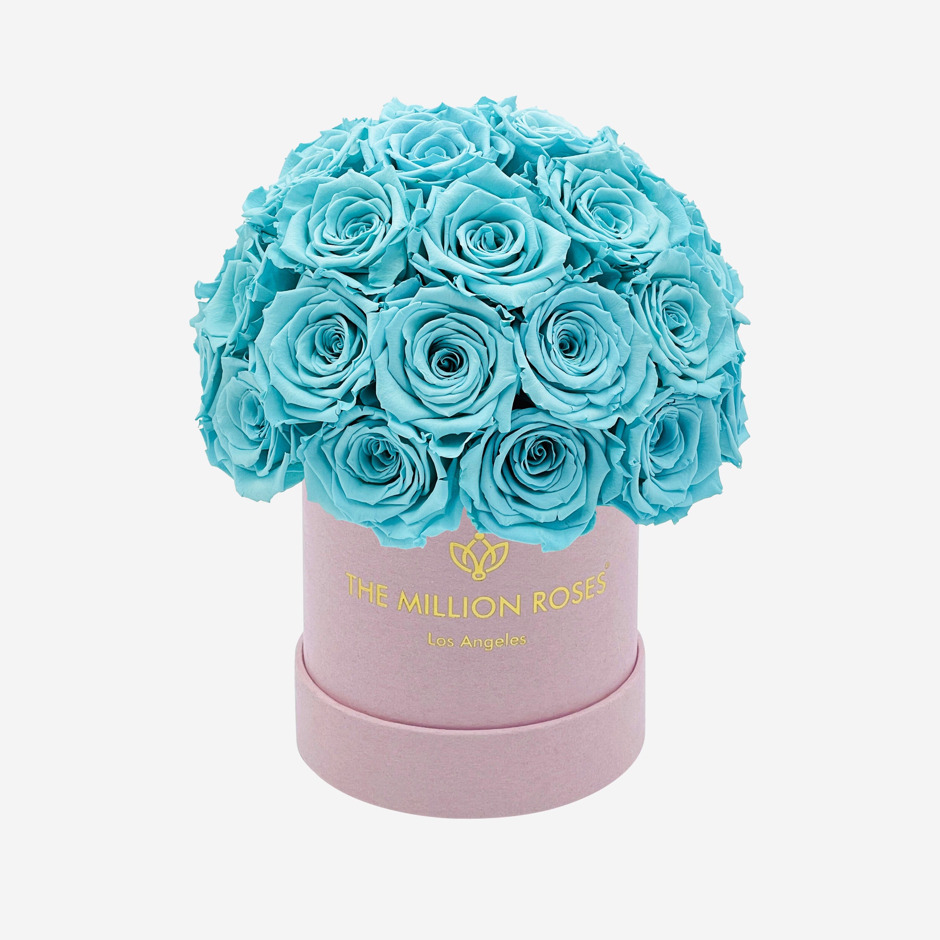 Basic Light Pink Suede Superdome Box | Turquoise Roses - The Million Roses