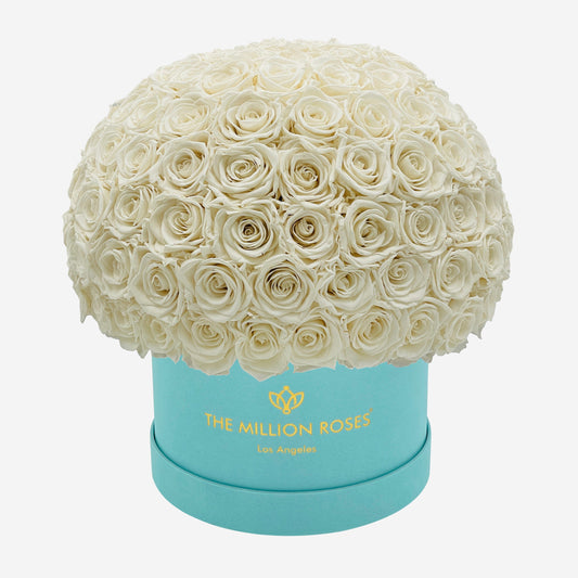 Supreme Mint Green Suede Superdome Box | White Roses - The Million Roses