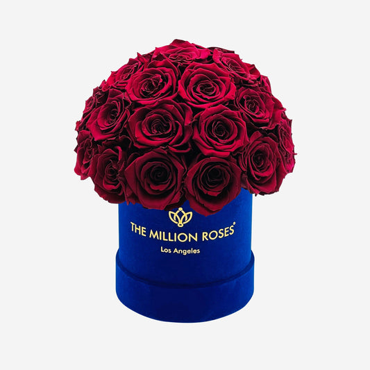 Basic Royal Blue Suede Superdome Box | Burgundy Roses - The Million Roses