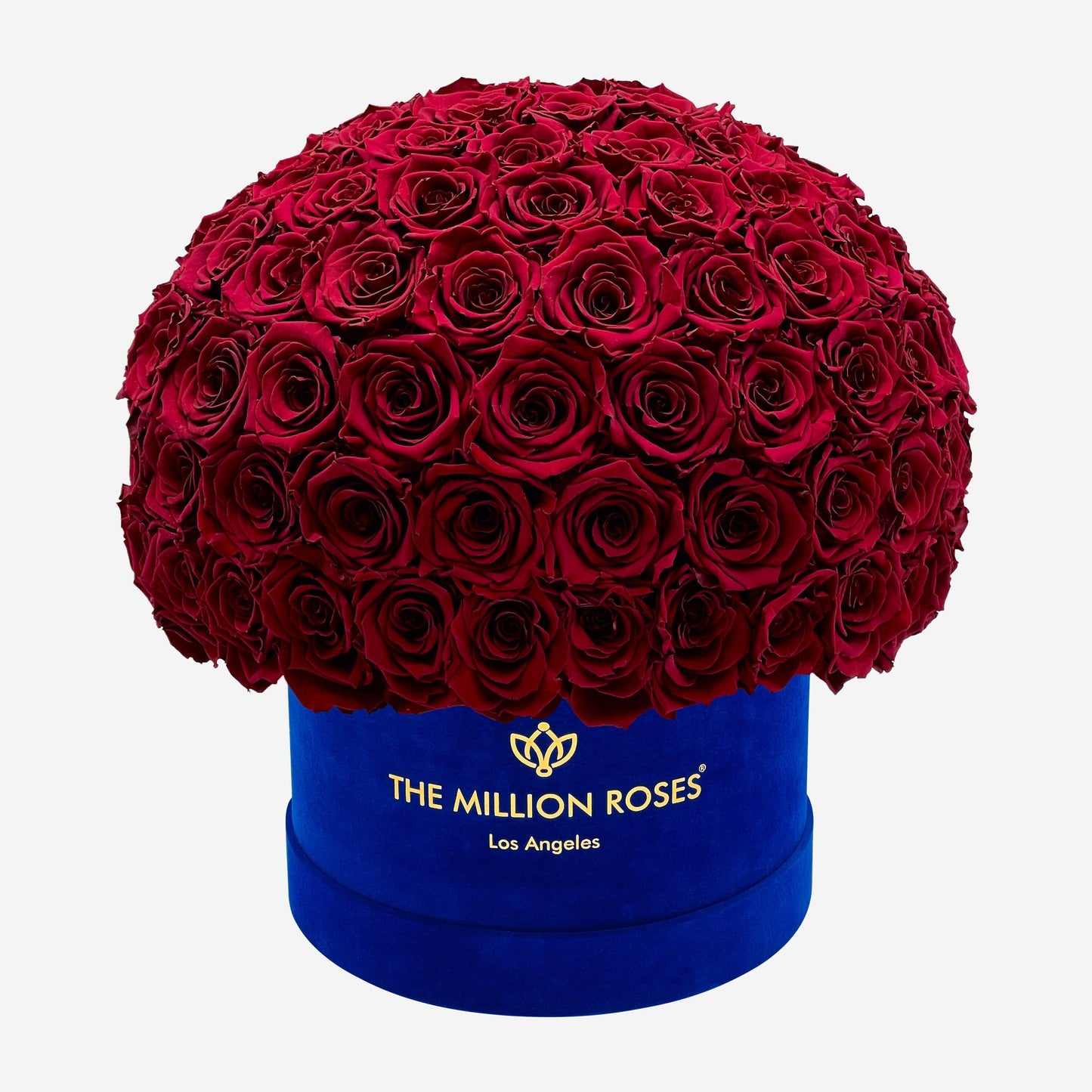 Supreme Royal Blue Suede Superdome Box | Burgundy Roses - The Million Roses