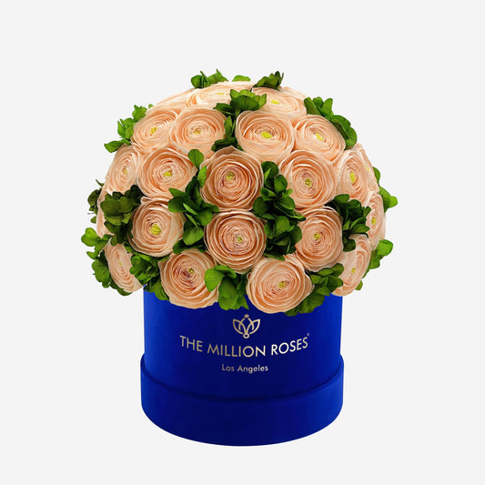 Classic Royal Blue Suede Box | Peach Persian Buttercups & Green Hydrangeas - The Million Roses