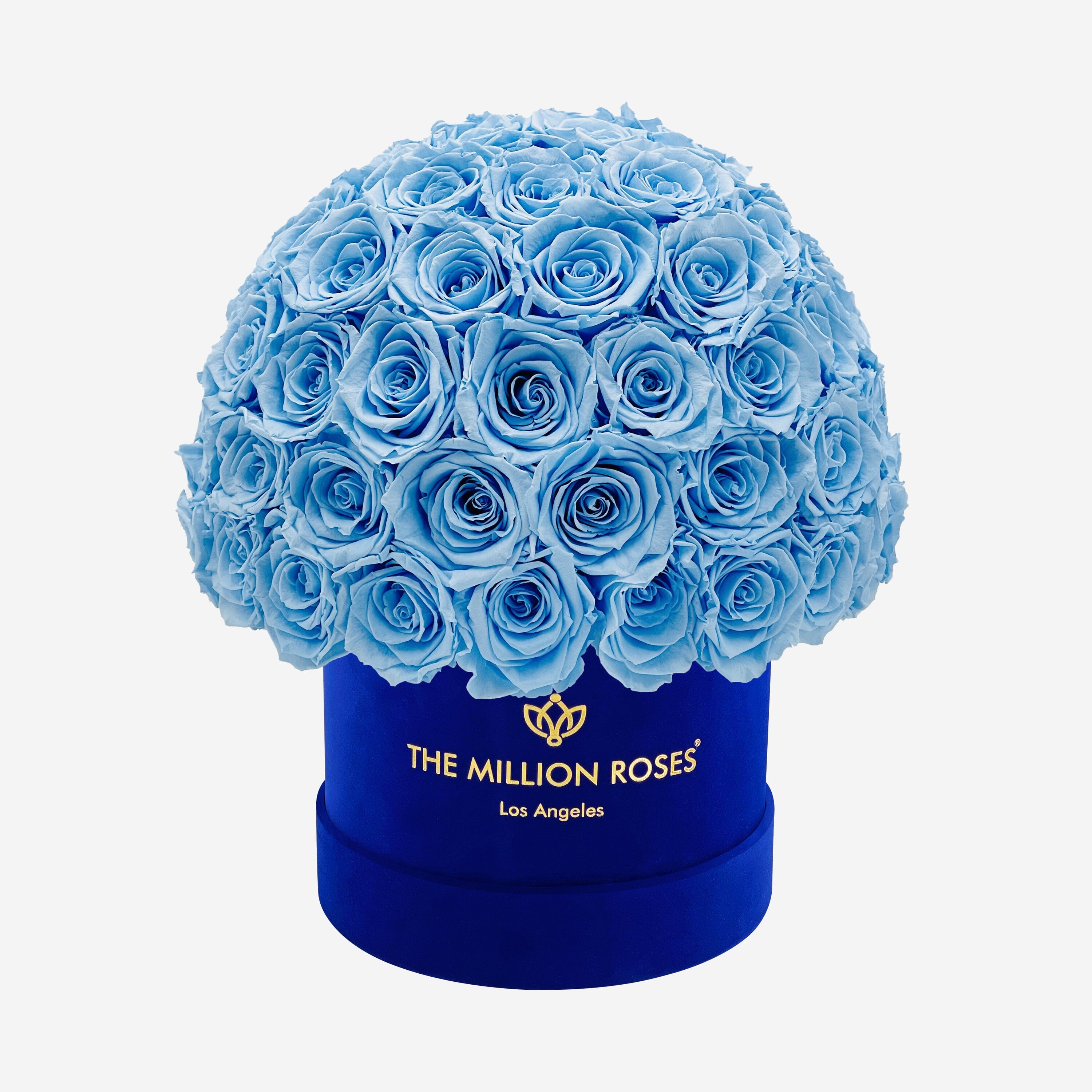 Classic Royal Blue Suede Superdome Box | Light Blue Roses - The Million Roses