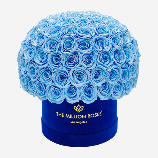 Supreme Royal Blue Suede Superdome Box | Light Blue Roses - The Million Roses