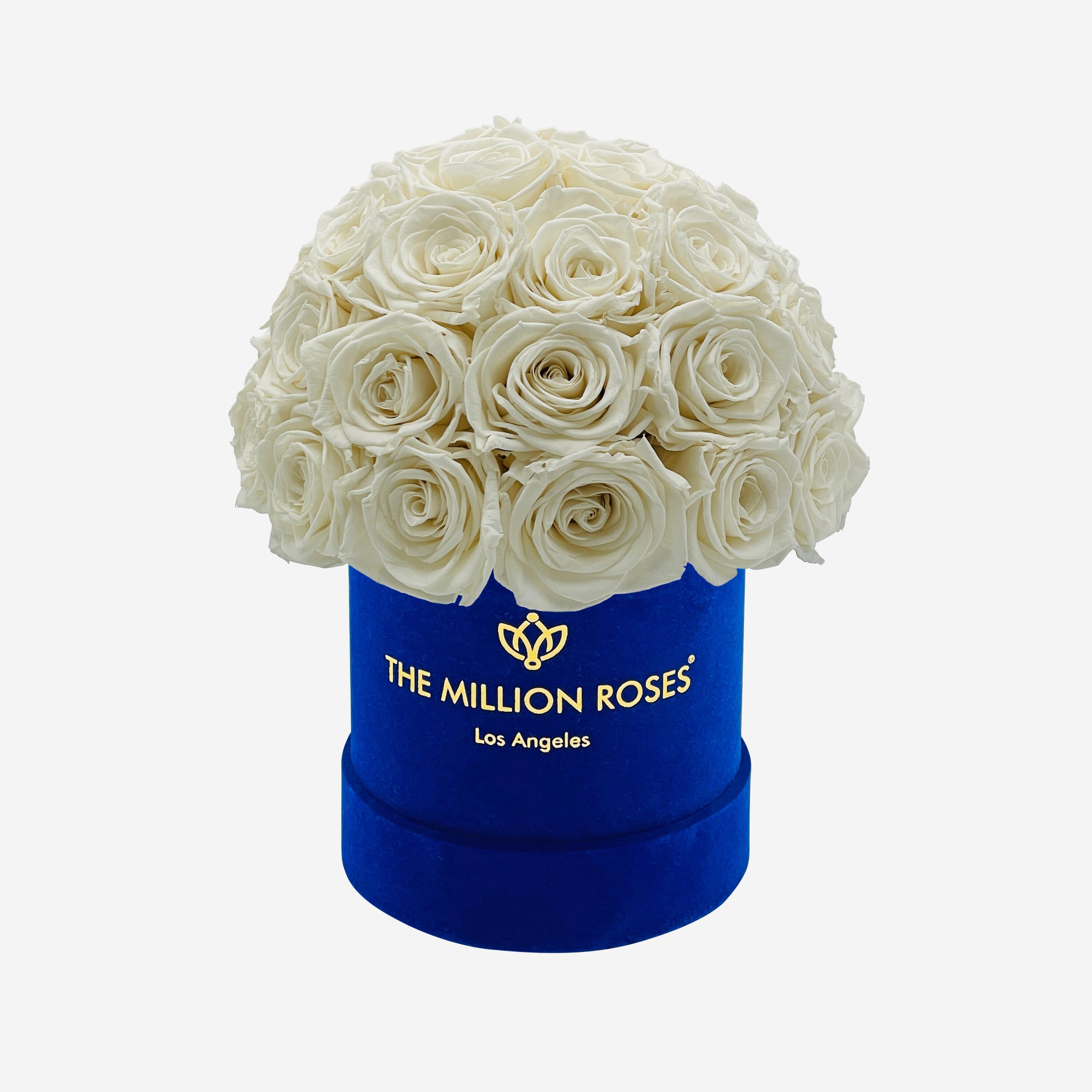 Basic Royal Blue Suede Superdome Box | White Roses - The Million Roses