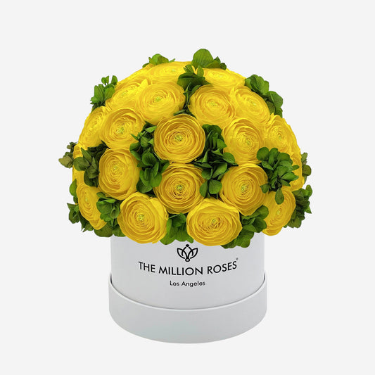 Classic White Box | Yellow Persian Buttercups & Green Hydrangeas - The Million Roses