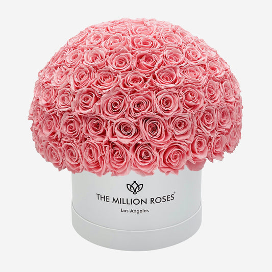 Supreme White Superdome Box | Light Pink Roses - The Million Roses
