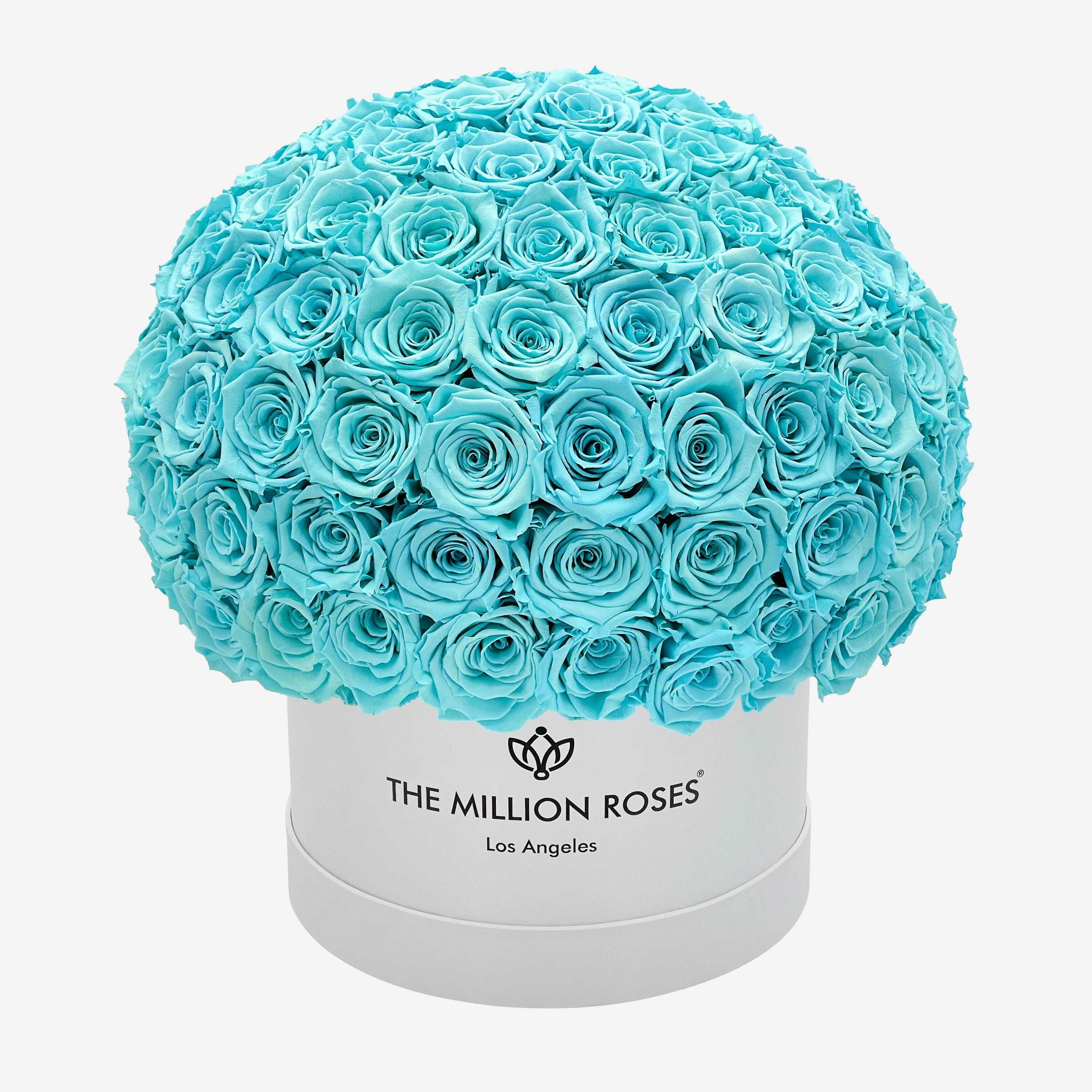 Supreme White Superdome Box | Turquoise Blue Roses - The Million Roses